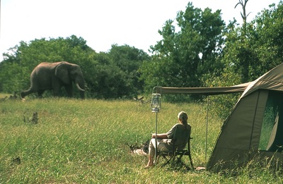 Game viewing from your tent on the Botswana Explorer Safari