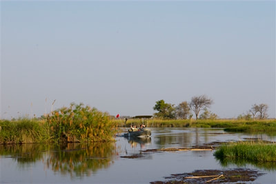 Boat safari, Okavango Delta
